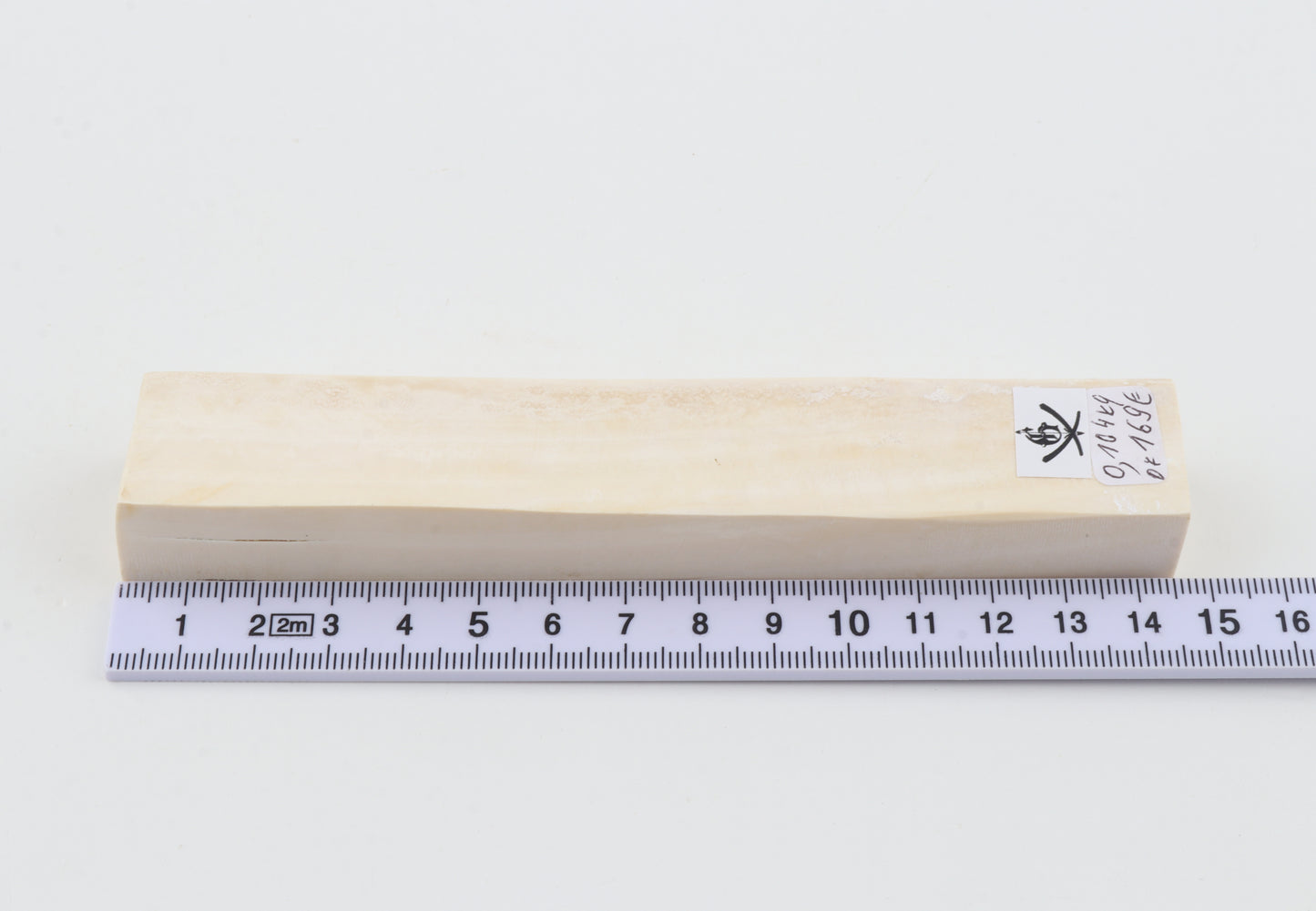 White mammoth ivory segment
