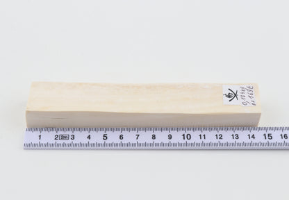 White mammoth ivory segment