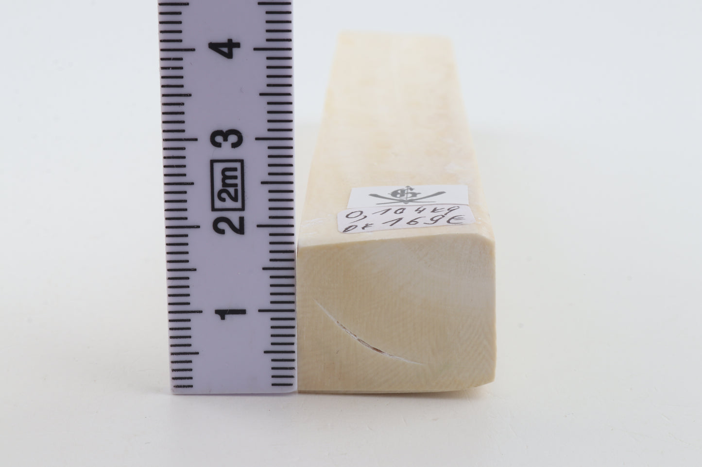 White mammoth ivory segment