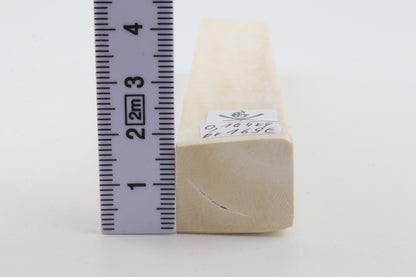 White mammoth ivory segment