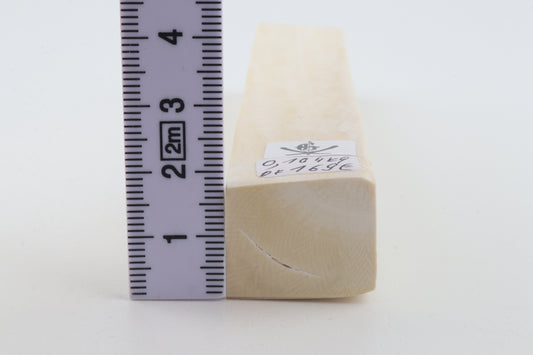 White mammoth ivory segment