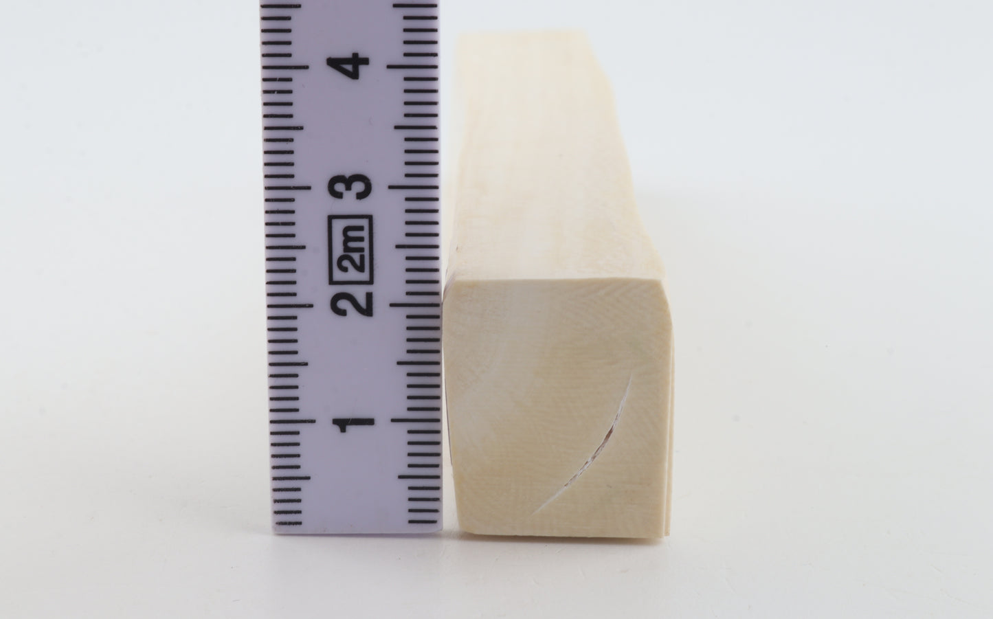 White mammoth ivory segment