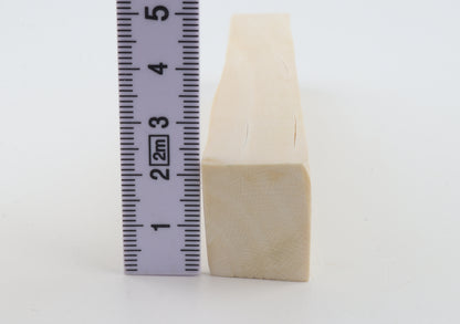 White mammoth ivory segment