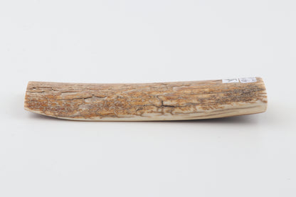 Orange-beige mammoth bark