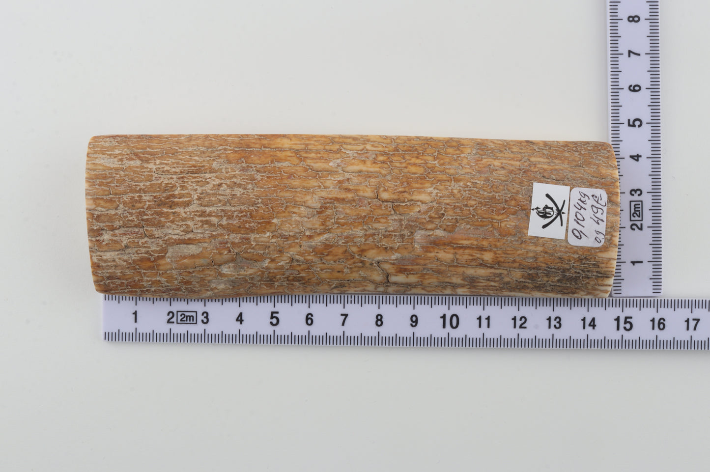 Orange-beige mammoth bark