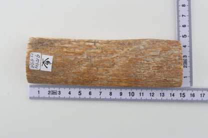 Orange-beige mammoth bark