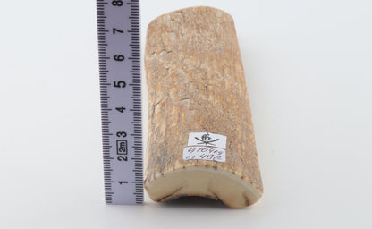 Orange-beige mammoth bark