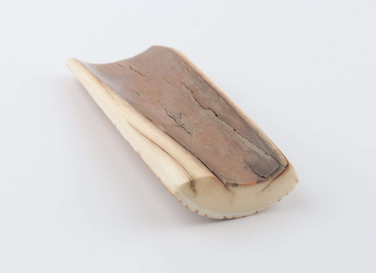 Orange-beige mammoth bark