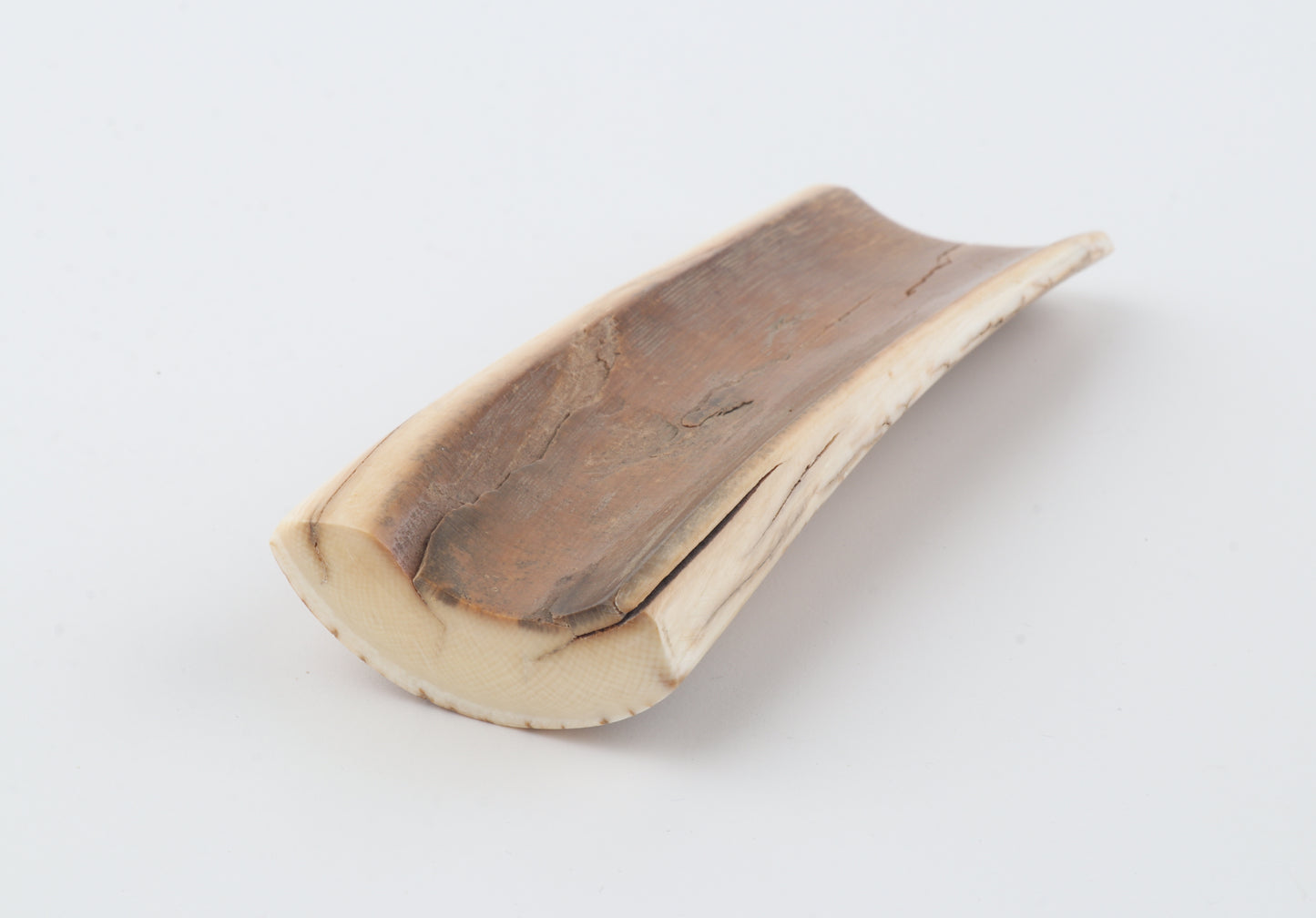 Orange-beige mammoth bark