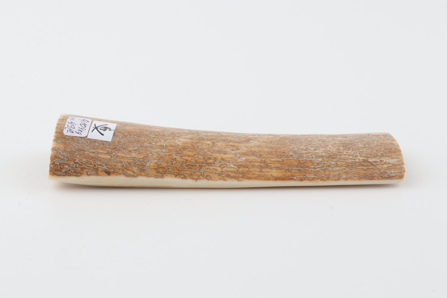 Orange-beige mammoth bark