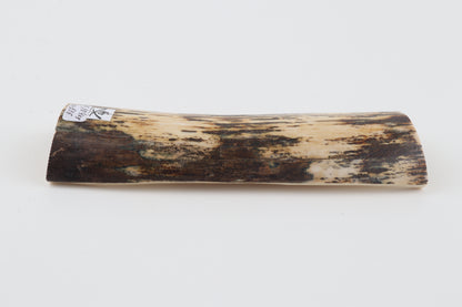 White-brown mammoth bark