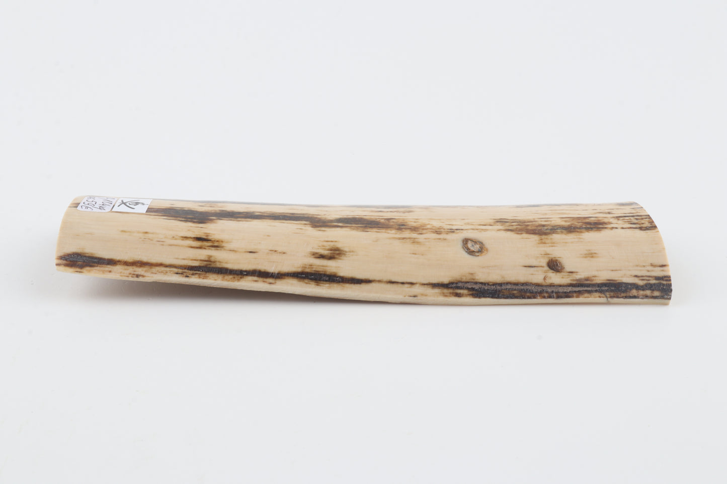Brown-white mammoth bark