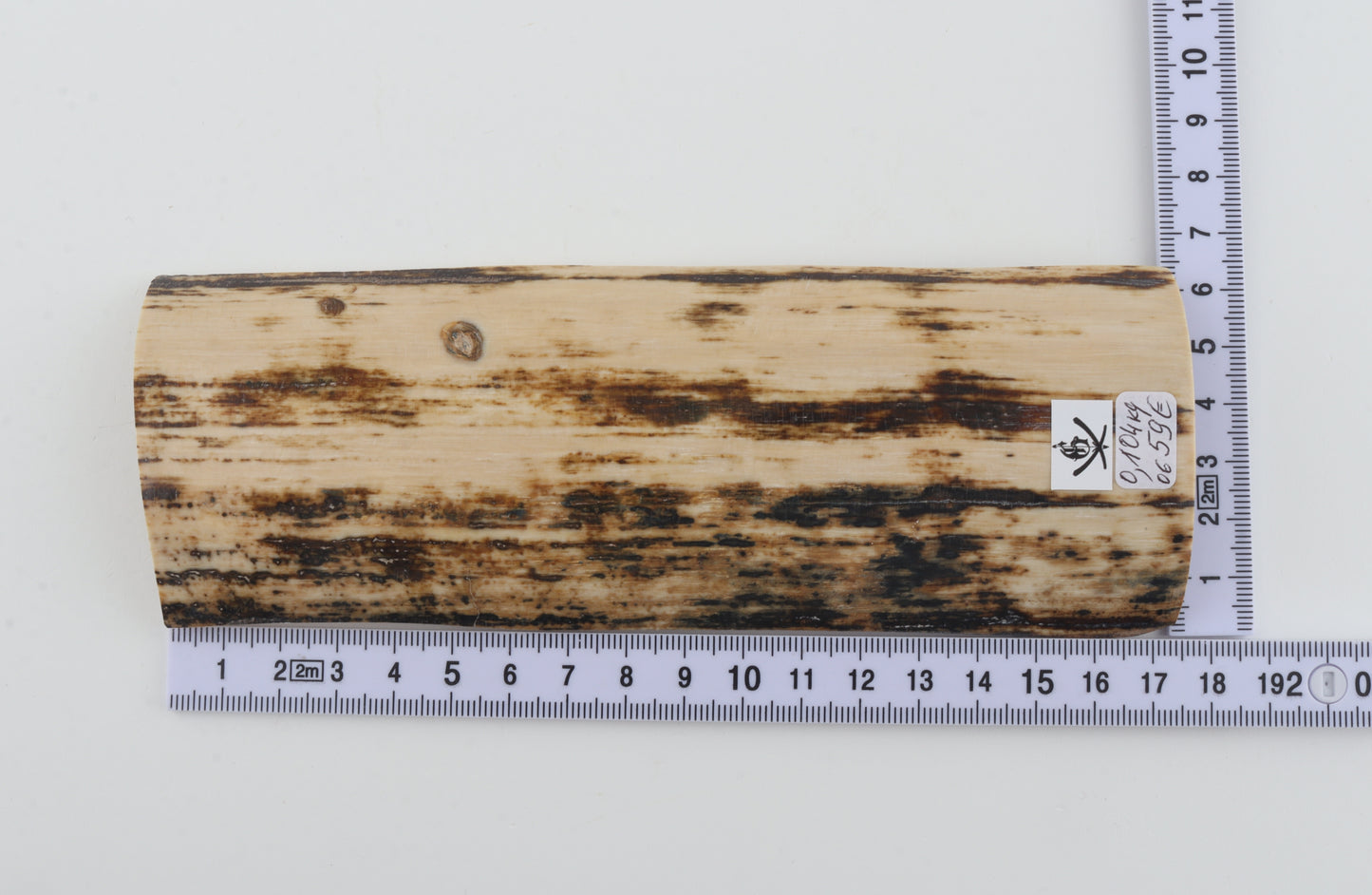 Brown-white mammoth bark