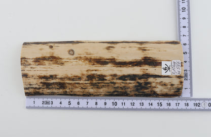 Brown-white mammoth bark