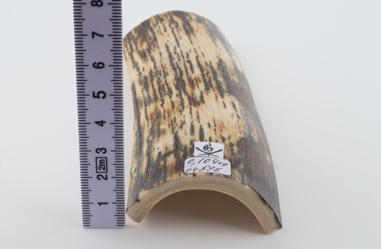 White-brown mammoth bark