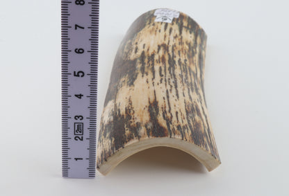 White-brown mammoth bark