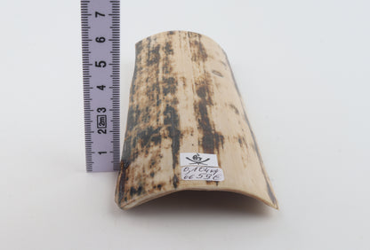 Brown-white mammoth bark