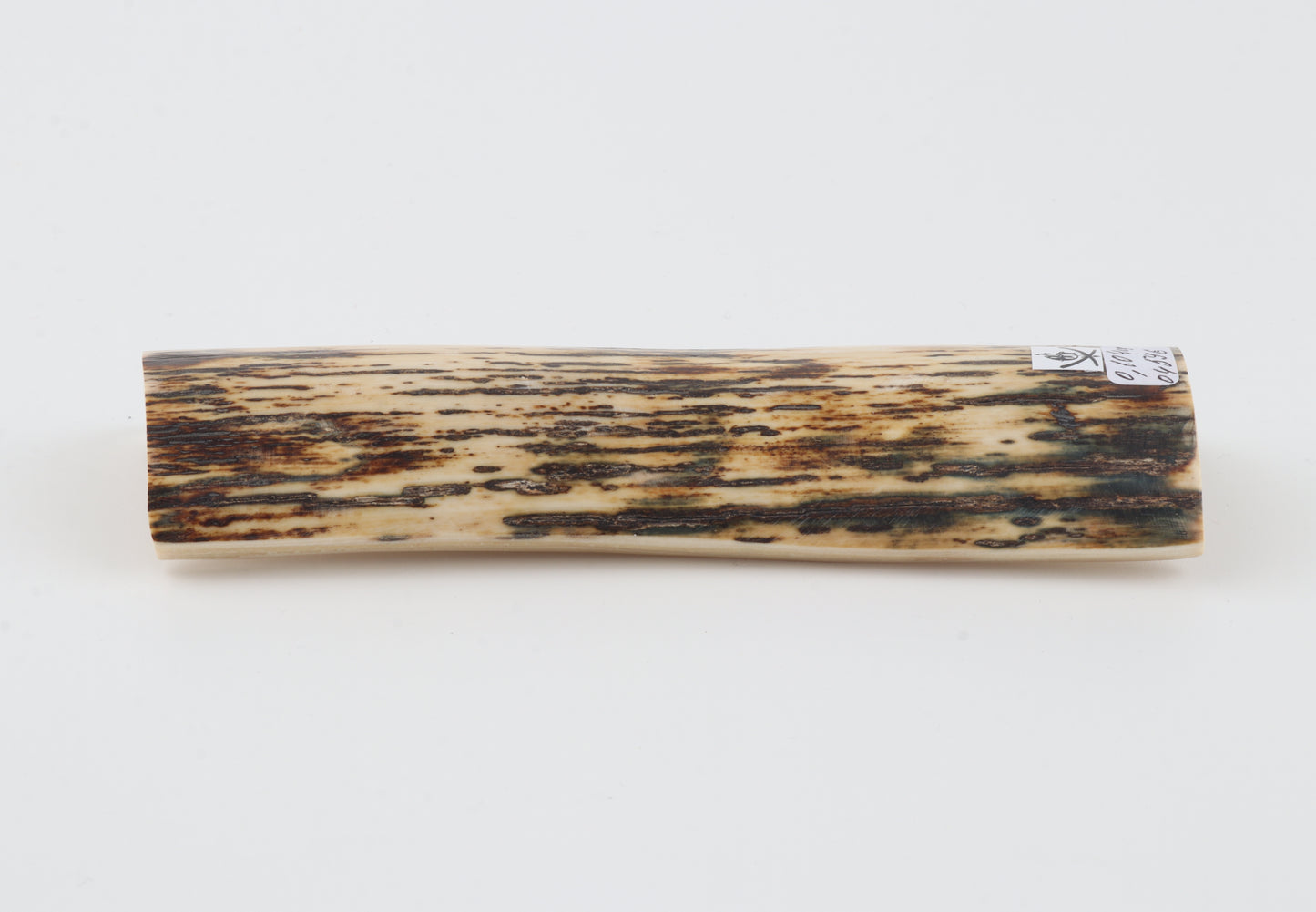 White-brown mammoth bark