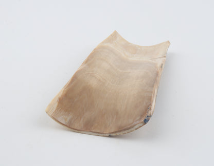 Brown-white mammoth bark