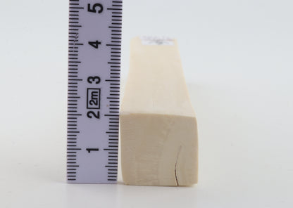 White mammoth ivory segment