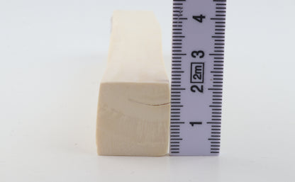 White mammoth ivory segment