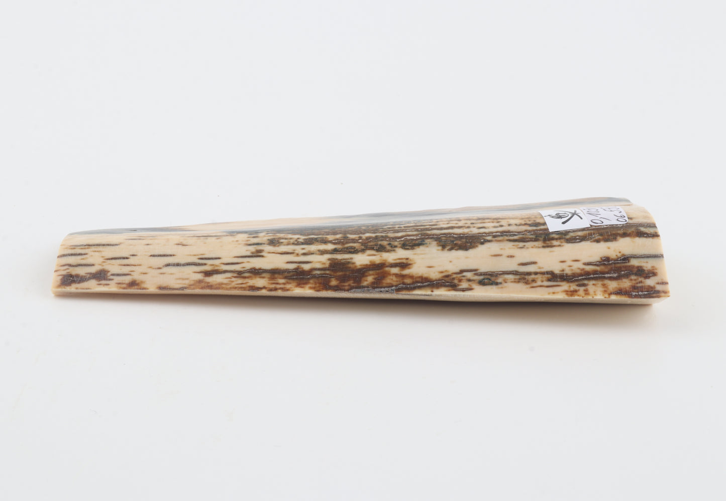 Natural woolly mammoth bark