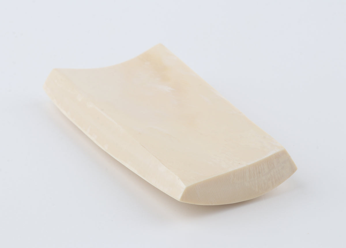 White mammoth ivory segment