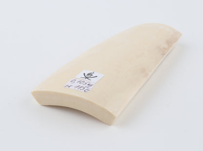 White mammoth ivory segment