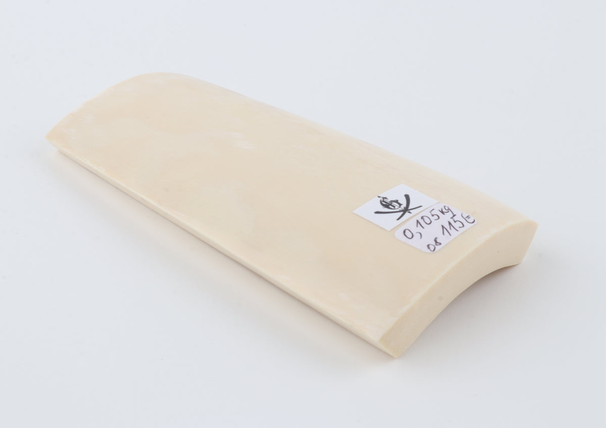 White mammoth ivory segment