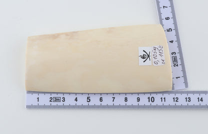 White mammoth ivory segment