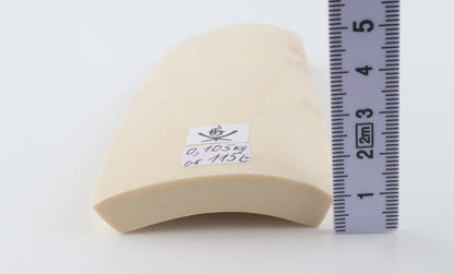 White mammoth ivory segment