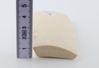White mammoth ivory segment