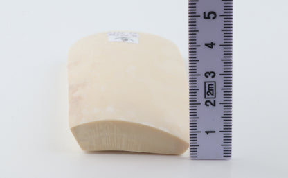 White mammoth ivory segment