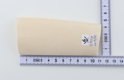 White mammoth ivory segment