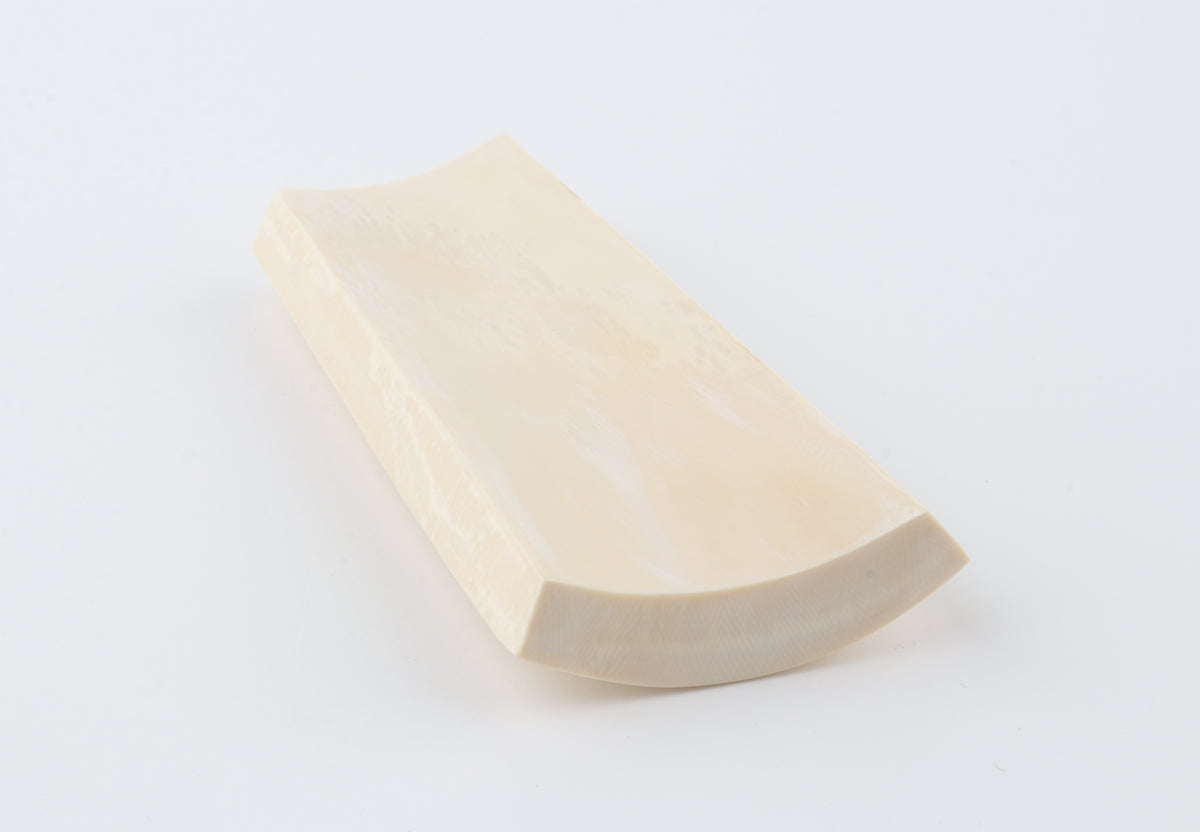 White mammoth ivory segment