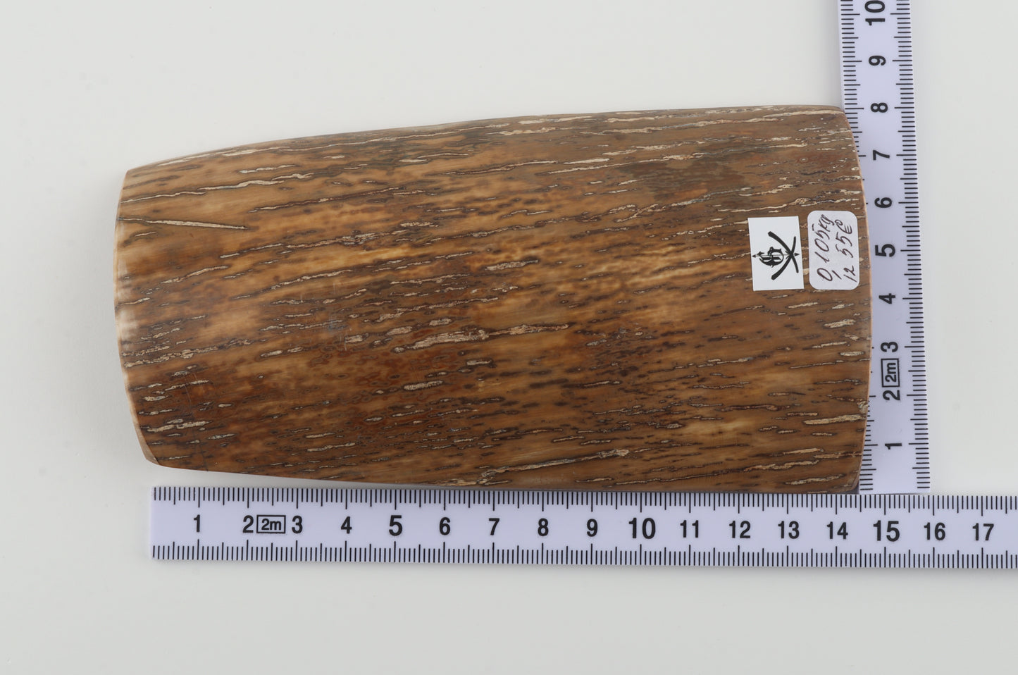 Beige-mustard mammoth bark