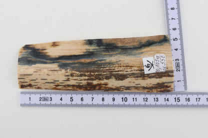 Natural woolly mammoth bark