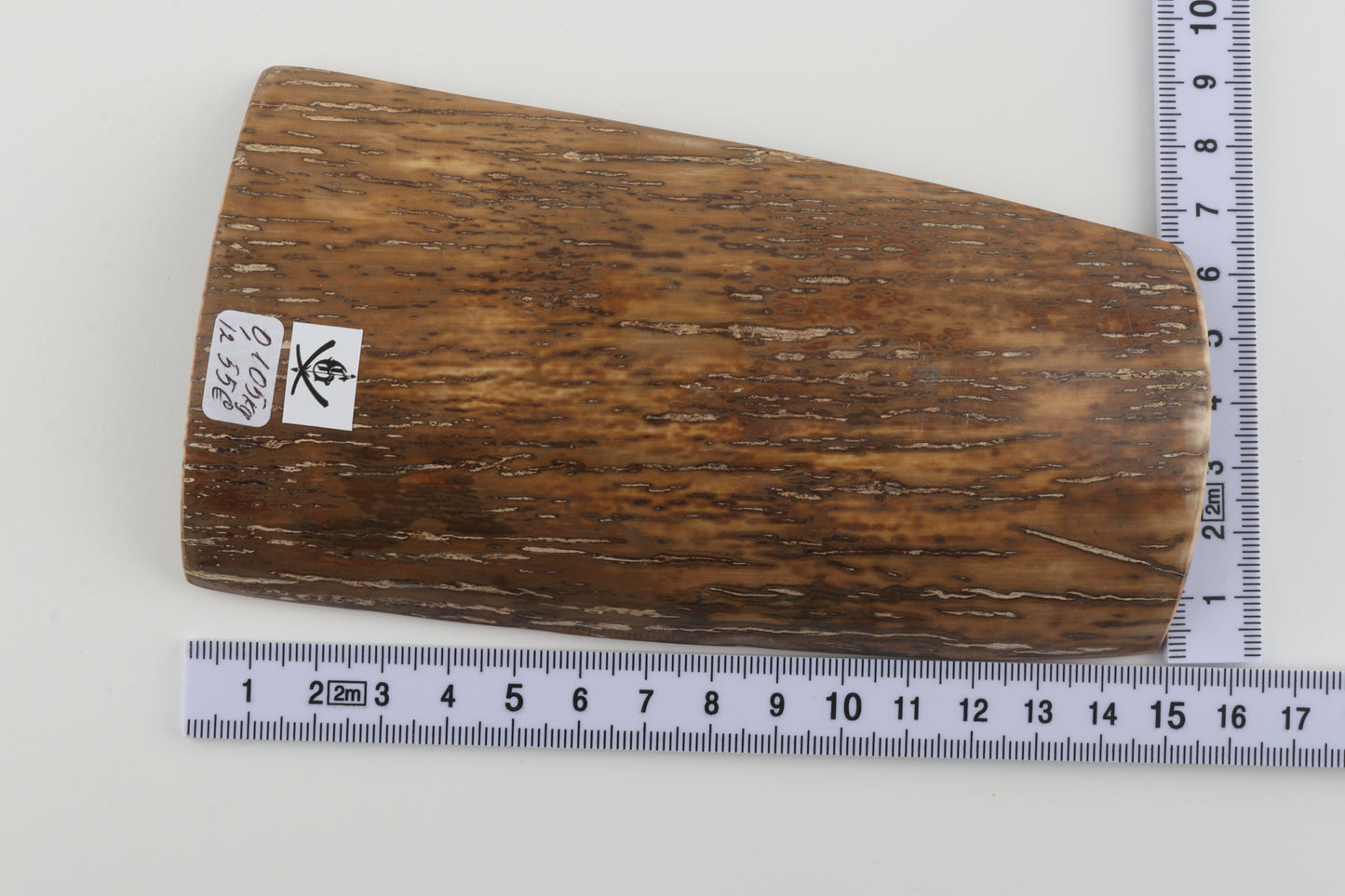 Beige-mustard mammoth bark