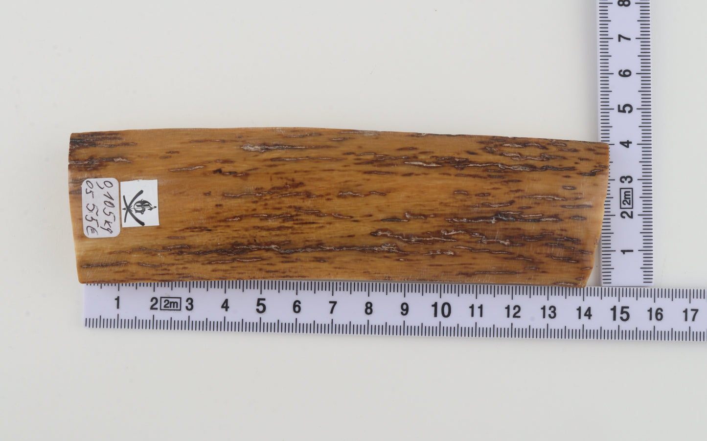 Mustard mammoth bark