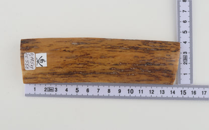 Mustard mammoth bark