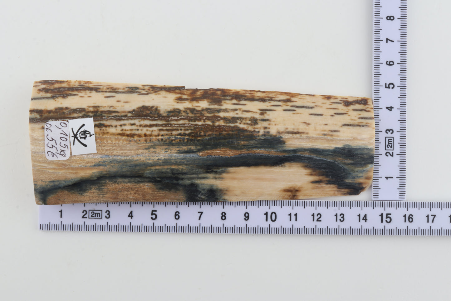 Natural woolly mammoth bark