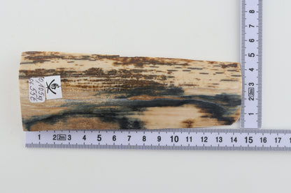 Natural woolly mammoth bark