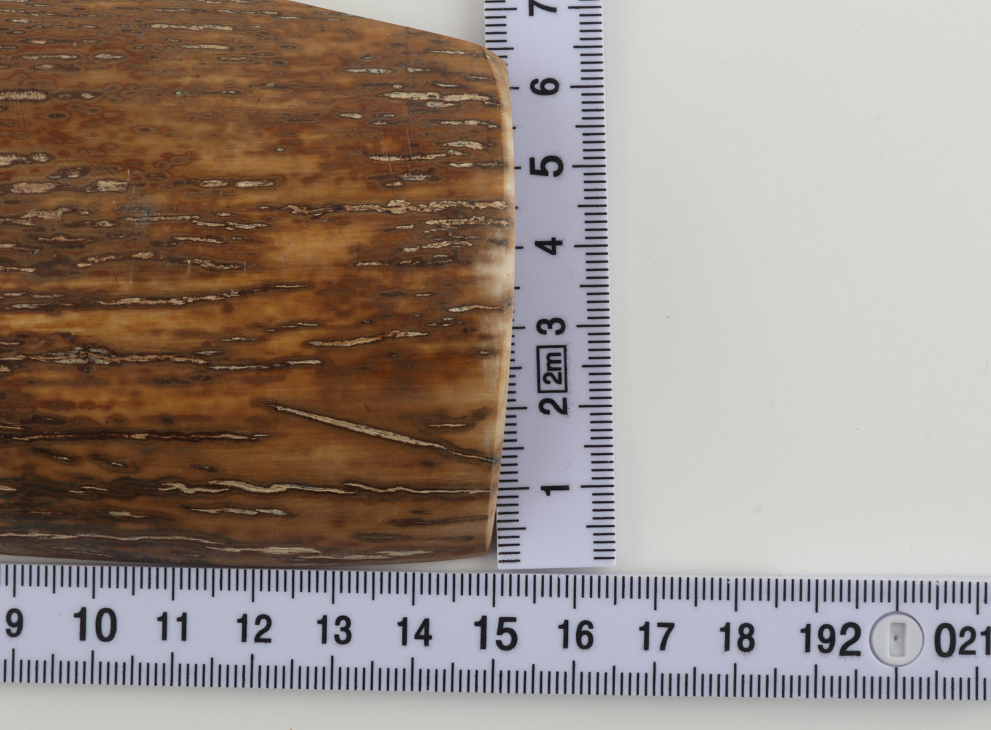 Beige-mustard mammoth bark