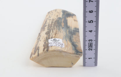 Natural woolly mammoth bark