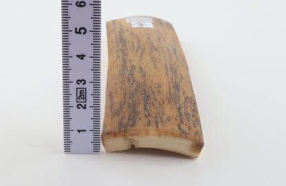 Mustard mammoth bark