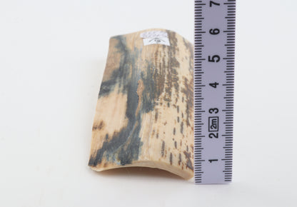 Natural woolly mammoth bark