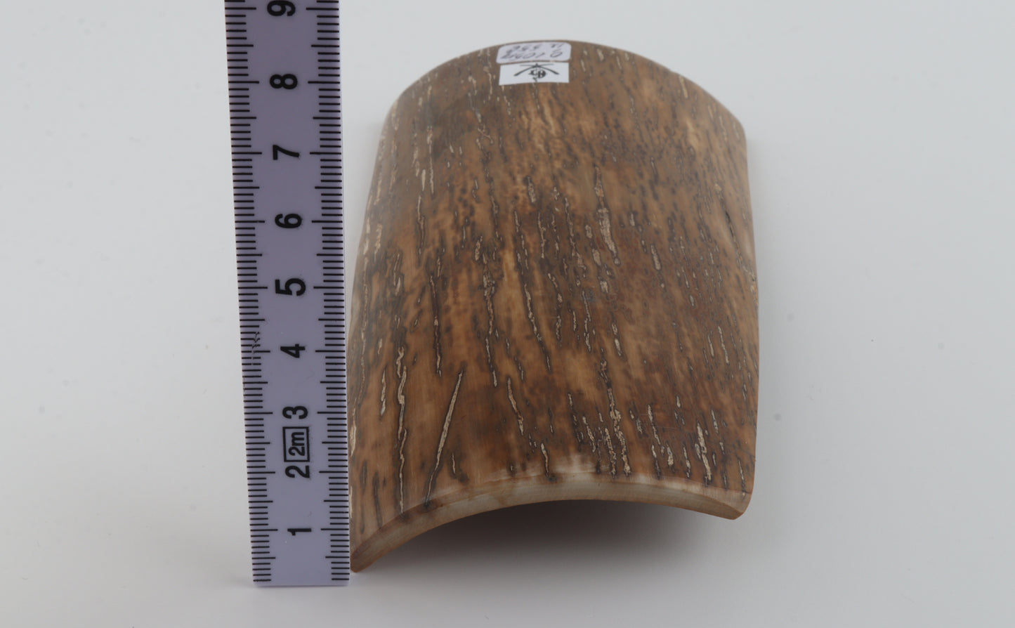 Beige-mustard mammoth bark