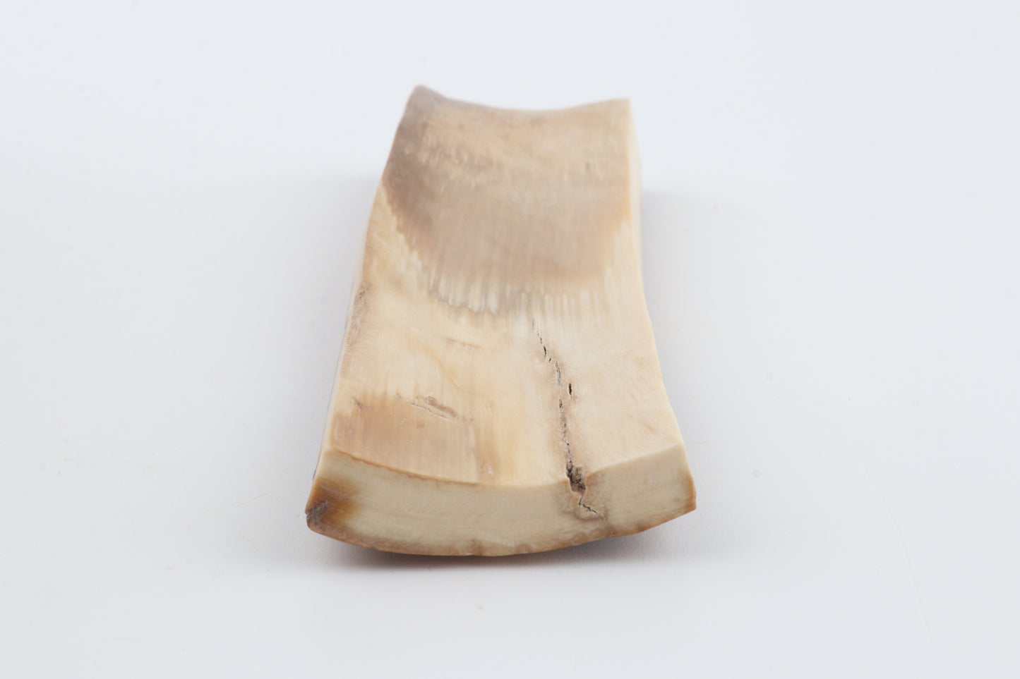 Mustard mammoth bark