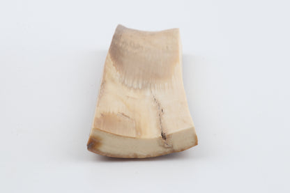 Mustard mammoth bark