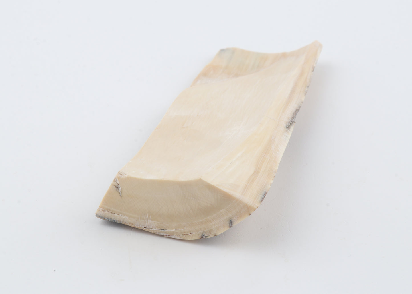 Natural woolly mammoth bark